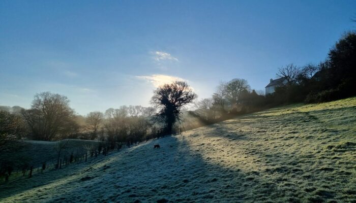 Best Hot Tub Breaks in Devon for Family Weekends