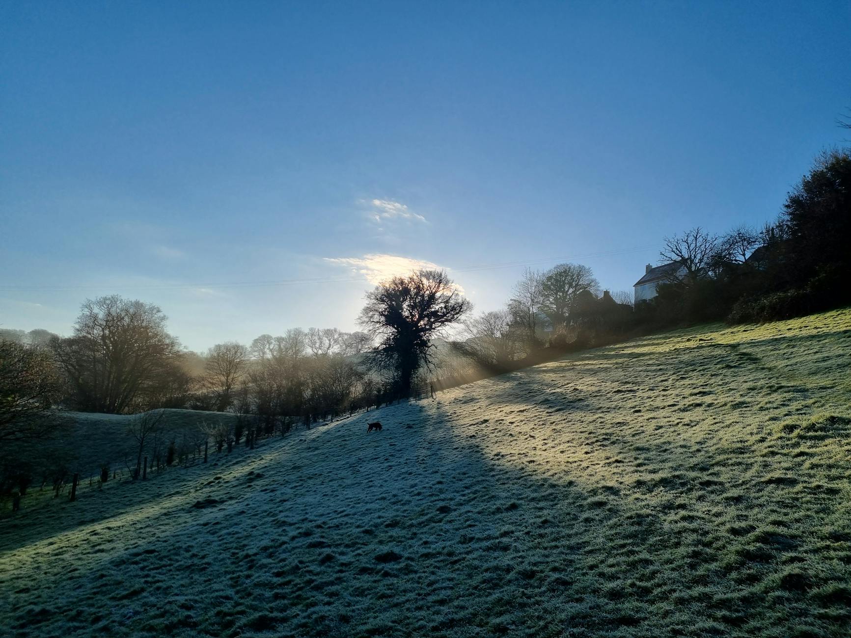 Best Hot Tub Breaks in Devon for Family Weekends