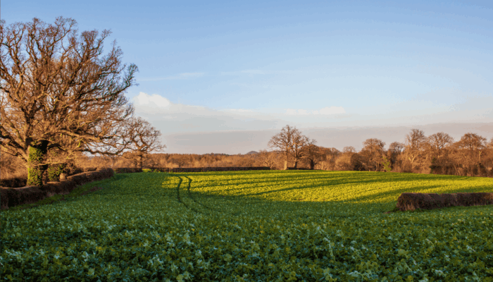 Best Hot Tub Breaks in Shropshire for Family Weekends