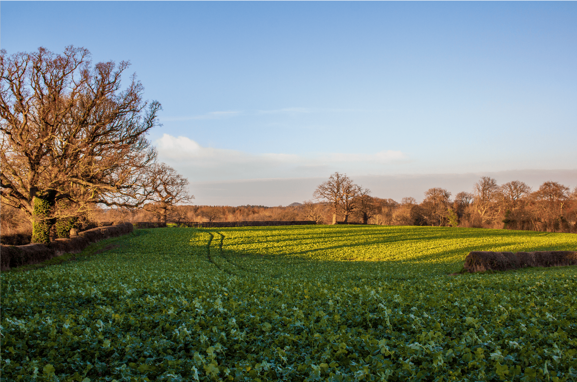 Best Hot Tub Breaks in Shropshire for Family Weekends